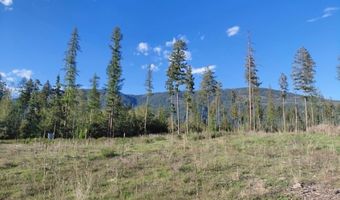 NNA This Way Rd Lot 1 & 2, Bonners Ferry, ID 83805