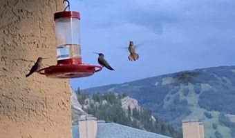 137 Benchmark Rd 520, Avon, CO 81620