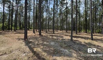 Ronald Sanks Road, Bay Minette, AL 36507