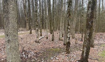 7523 Miller Rd, Almond, NY 14804