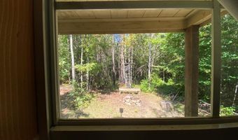 18 62 Ac Squirrell Hollow Rd, Alberta, VA 23821