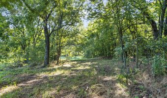 Lot B Farm Road 2005, Aurora, MO 65605