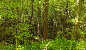 Beech Bluff Road, Beech Bluff, TN 38313