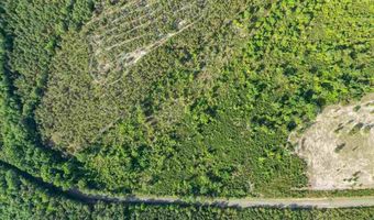 2780 Mill Creek Rd, Bethune, SC 29009