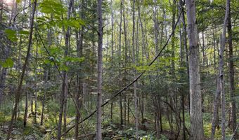 County Road Y, Aniwa, WI 54408
