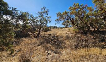 403 Lot On Lakeshore Blvd, Aguanga, CA 92536