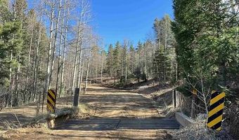 53 Forest Rd 76, Angel Fire, NM 87710