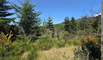 87503 UPPER FOURMILE Ln, Bandon, OR 97411