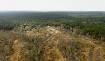 US Hwy 98, Beaumont, MS 39423