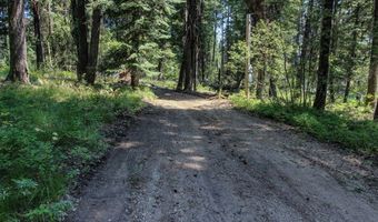 4 Ogburn Ln, Cascade, ID 83611