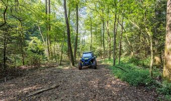 23 59 Ac Chestnut Flats Rd, Andrews, NC 28901