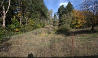 18140 Highway 36, Blachly, OR 97412