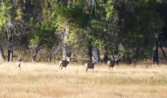 TBD County Road 170, Agate, CO 80101