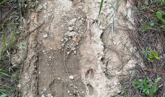 0 Military Rd, Beaverton, AL 35544