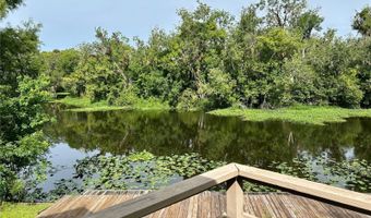23733 BASIN Dr, Astor, FL 32102