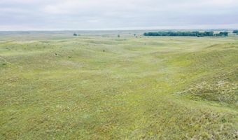 755 90 +/- Acres, Arnold, NE 69120