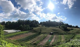150 Old Macedonia Rd, Asheville, NC 28804