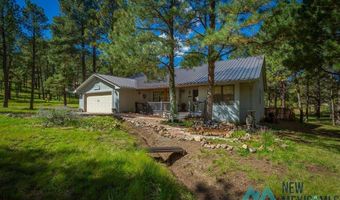 151 Alto Pines Trl, Alto, NM 88312