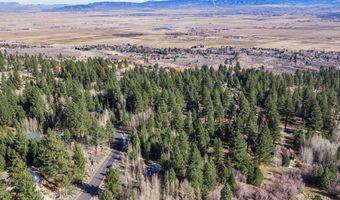 240 Forest Hill Way, Gardnerville, NV 89460