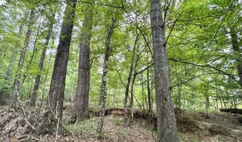 1 Prentiss Crump Rd, Terry, MS 39170
