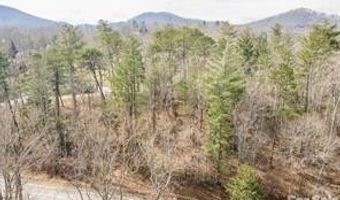 Ball Gap Road, Arden, NC 28704