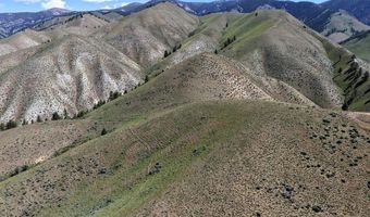 NKN E Tower Creek Road, Carmen, ID 83462