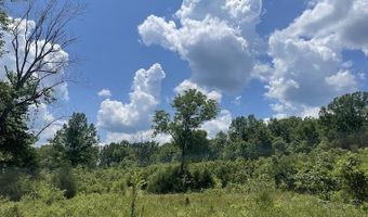 Co Rd 304, Ava, MO 65608