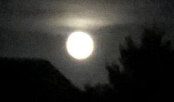 8 HARLEQUIN Loop, Bridgeville, DE 19933