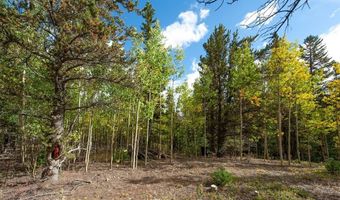 452 QUARTZVILLE Rd, Alma, CO 80420