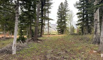 646 W Ski View Dr, Brian Head, UT 84719