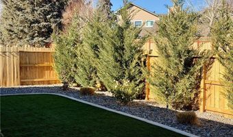 1208 Bravestone Ave, Carson City, NV 89703