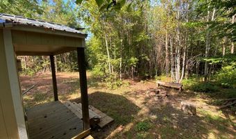 18 62 Ac Squirrell Hollow Rd, Alberta, VA 23821