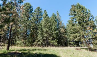 37 Red Tail Rdg, Bigfork, MT 59911