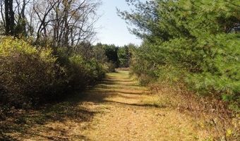 95 Acres Highway 13, Wisconsin Dells, WI 53965