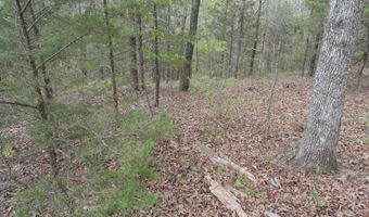 Long Branch Lane, Bee Branch, AR 72013