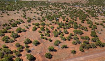 84 County Road N8149, Concho, AZ 85924
