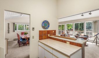 1275 Snowbunny Ln 2, Aspen, CO 81611
