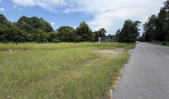 80 ACRE Monnie St, Ashburn, GA 31714