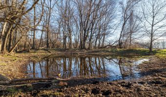 W Farm Rd 64, Ash Grove, MO 65604