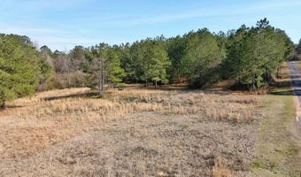 000 Mt Pleasant Ln SE, Bogue Chitto, MS 39629