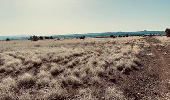 90 B Volcano Trl, Ash Fork, AZ 86320