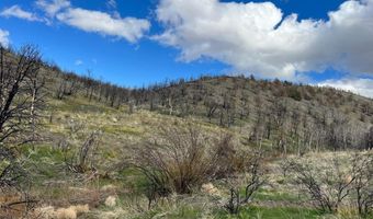 parcels at Pine Nut Creek area, Gardnerville, NV 89410