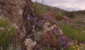 3434 Davis Ranch Rd, Bellvue, CO 80512