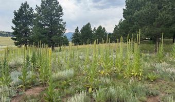 Whymans Black Lake Estates lot 39, Angel Fire, NM 87710