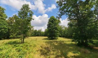 County Road 200, Alton, MO 65606