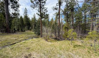 0 Yellowjacket Springs Rd, Beatty, OR 97621
