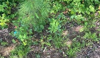 6 Acres Henry Scott, Ball Ground, GA 30107