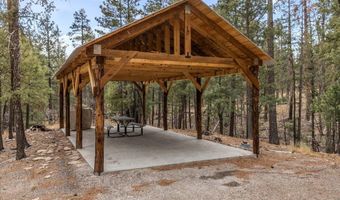 9 Co Rd 2074 # 2074, Alpine, AZ 85920