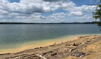 509 Bonne Vista Dr, Baneberry, TN 37890