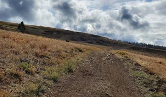 00 Cuddy Mountain Mineral Land, Cambridge, ID 83610